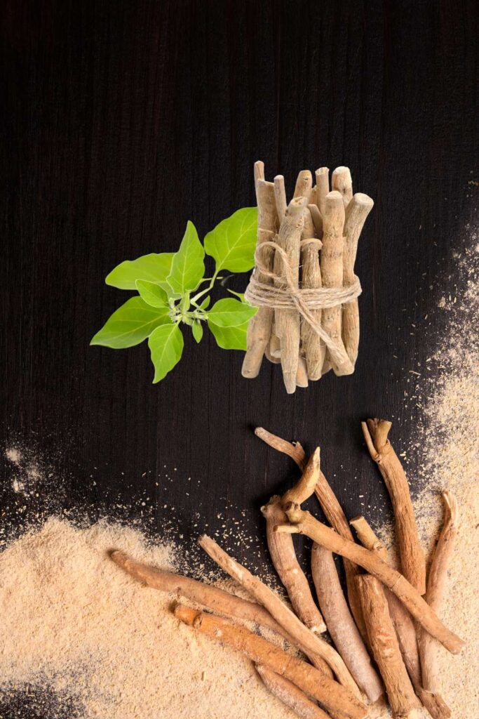 Your Guide to Ashwagandha: Benefits, Uses, and Why Choose Naturalz New York