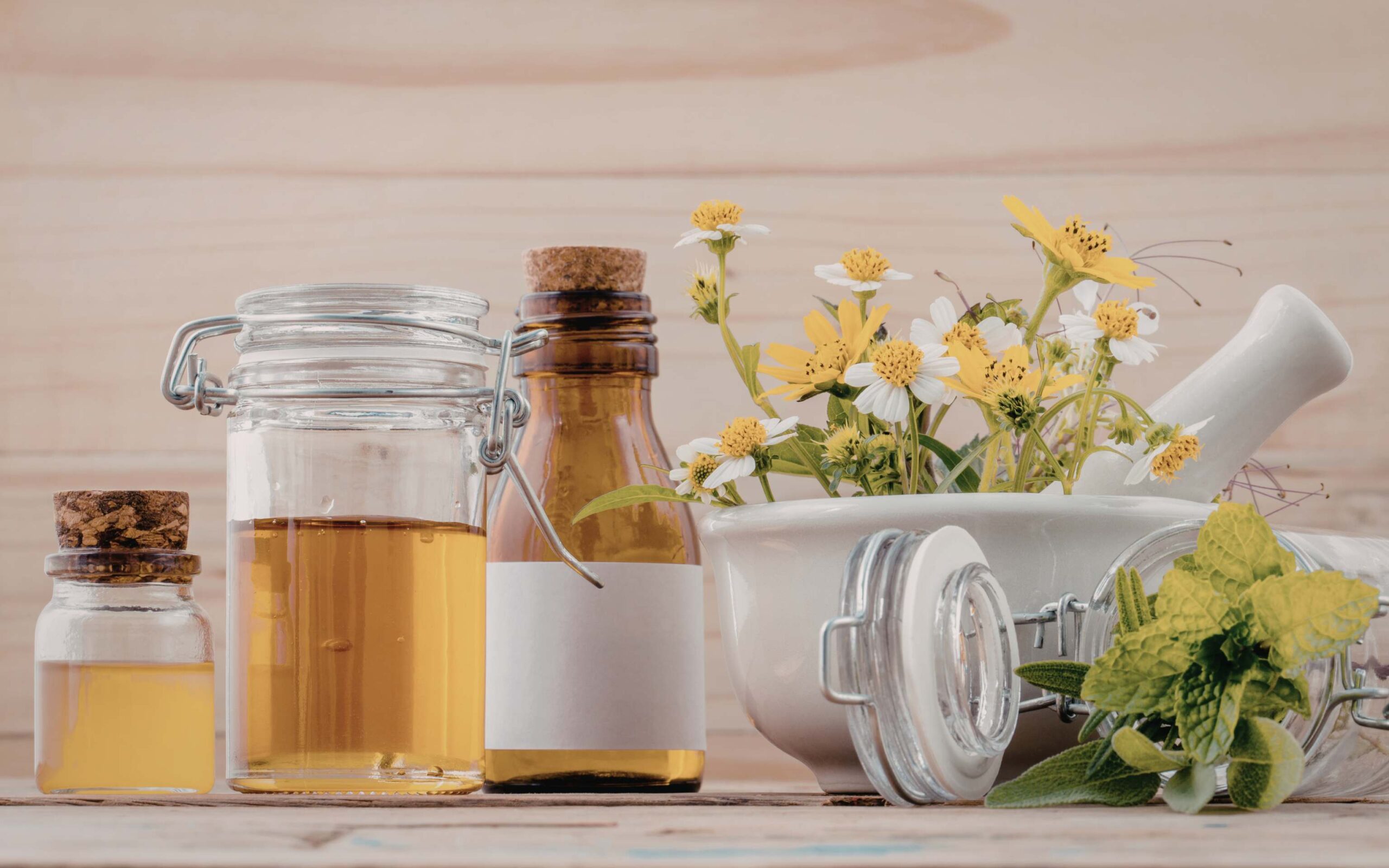 Organic aloe vera plant and chamomile flowers, key ingredients in natural skincare