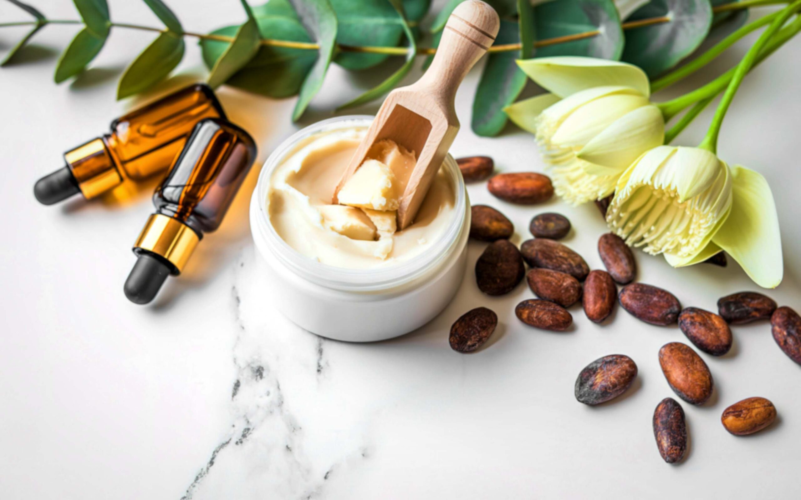 Flat lay of organic skincare botanicals and natural ingredients on a clean white surface
